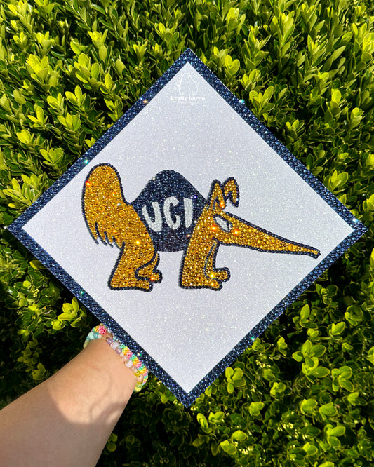 UC Irvine Grad Cap