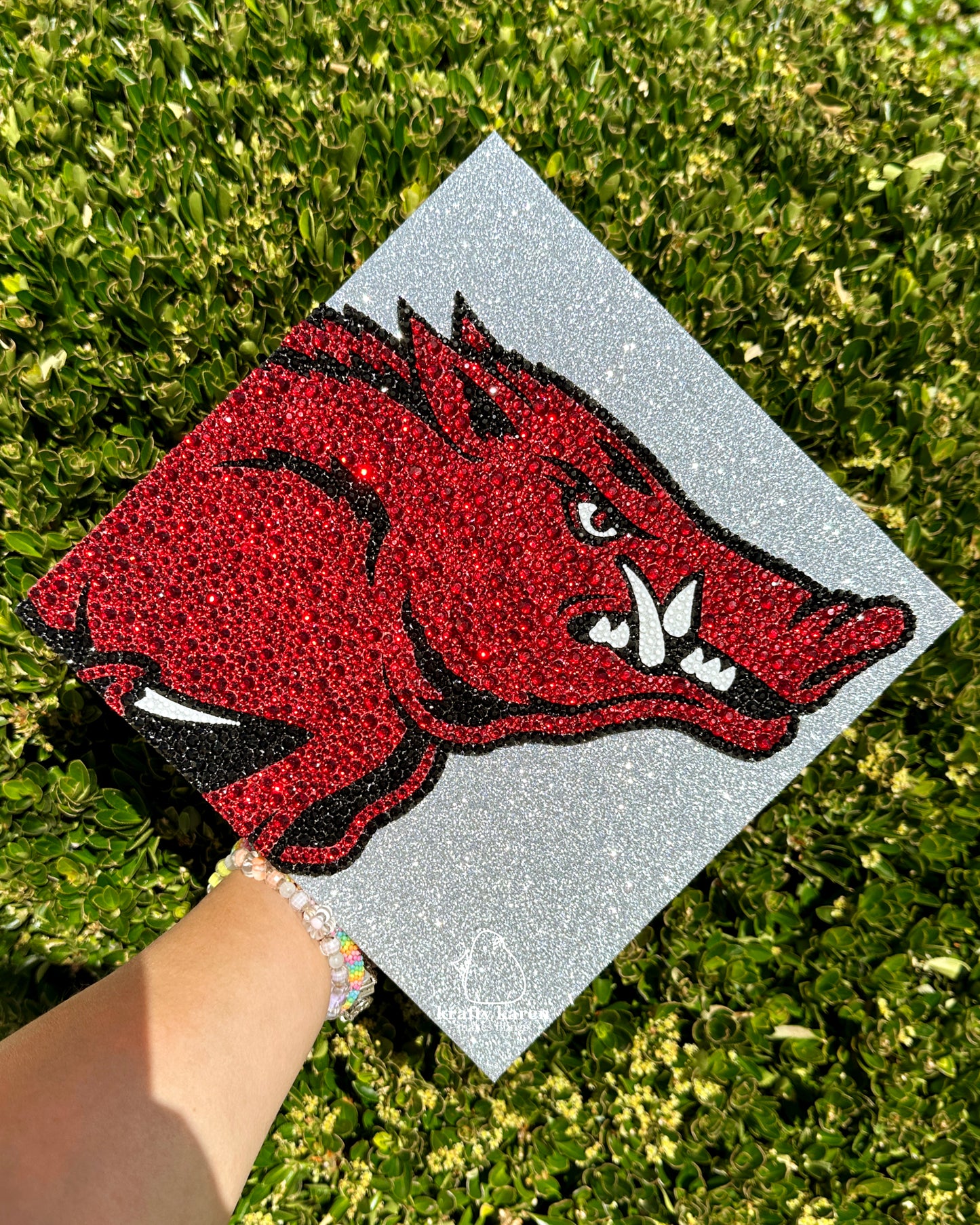 University of Arkansas Grad Cap